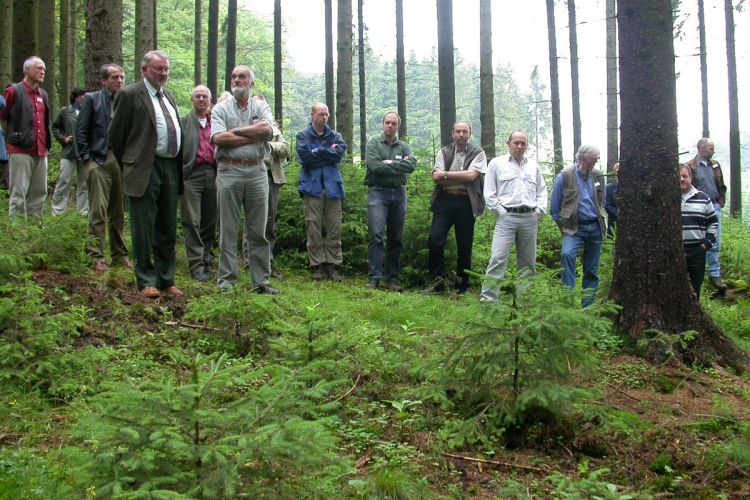 Waldführung mit Sämlingen