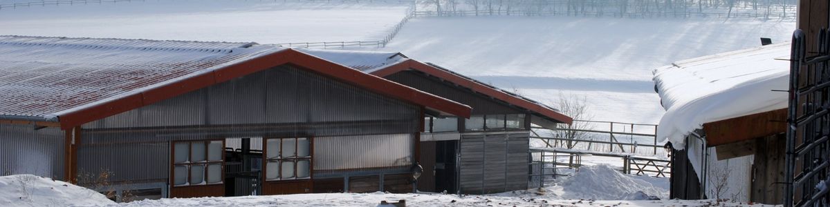 Pferdesportzentrum Hof Hegemann
