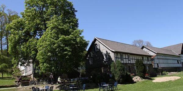 image-5.jpg