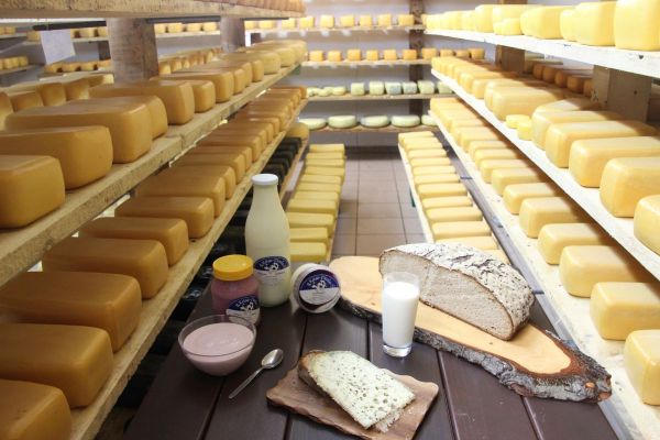 käse keller.jpg