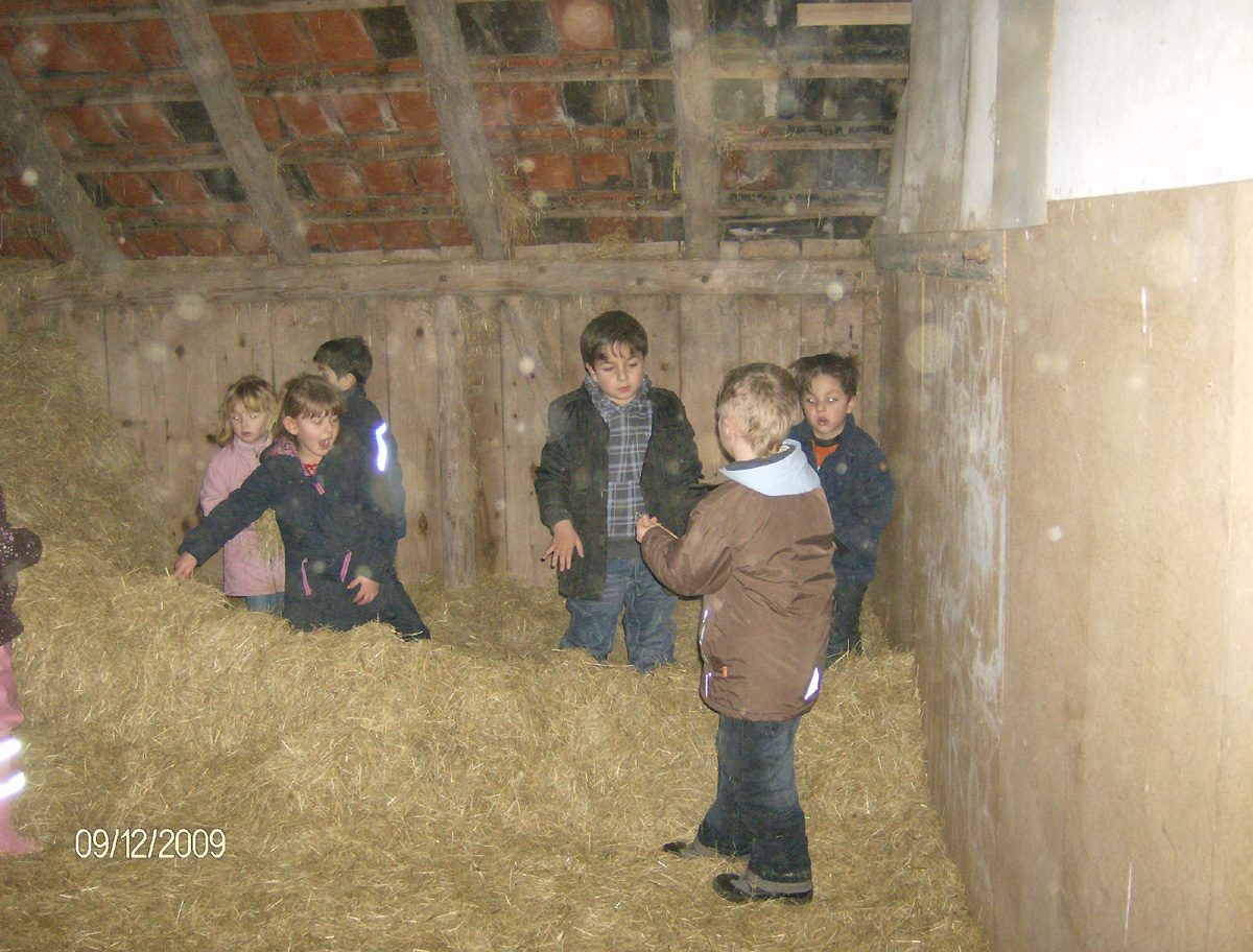 Kindergeburtstag auf dem Bauernhof
